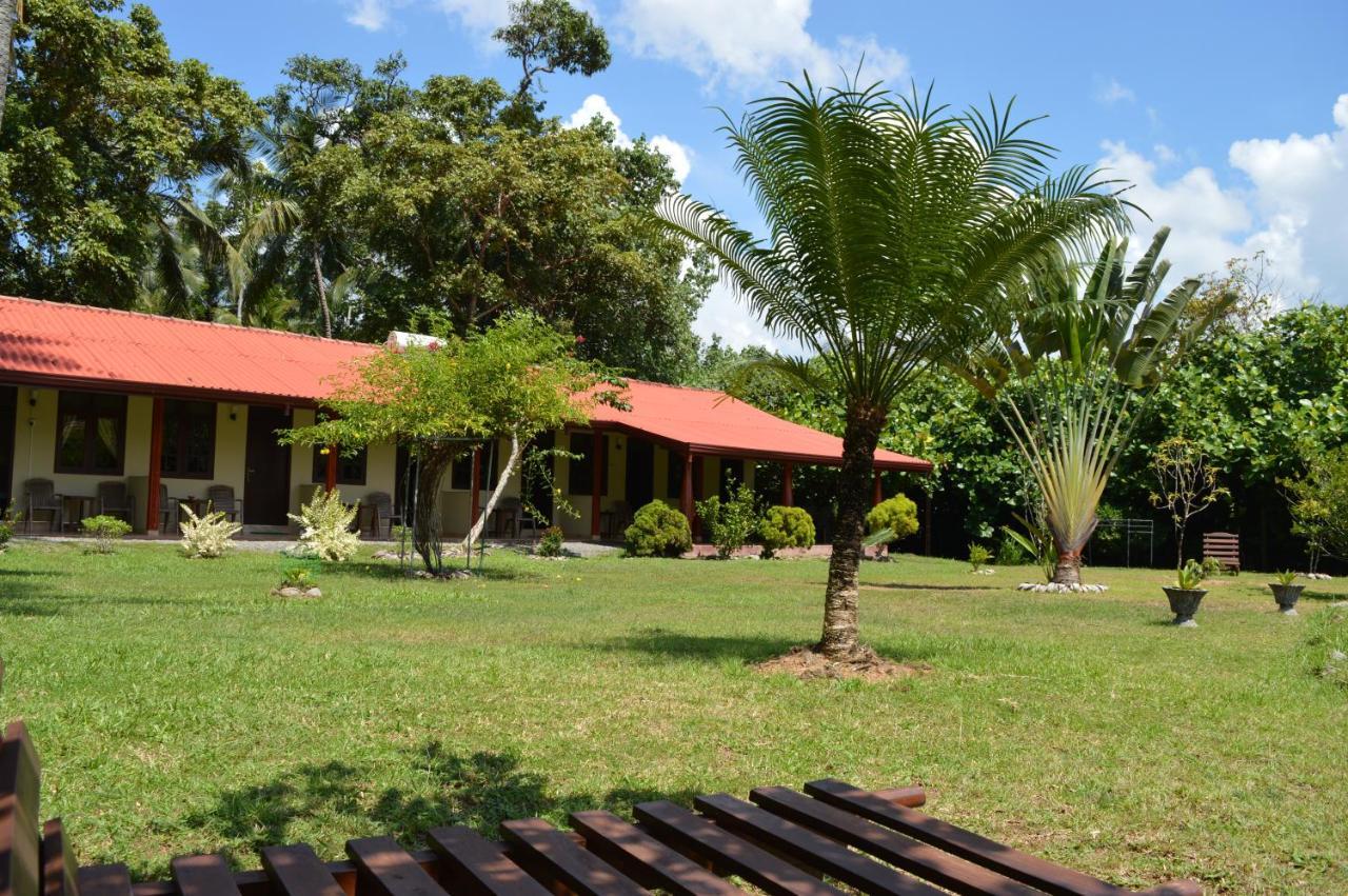 Bed and Breakfast Zum Deutschen Bentota Zewnętrze zdjęcie