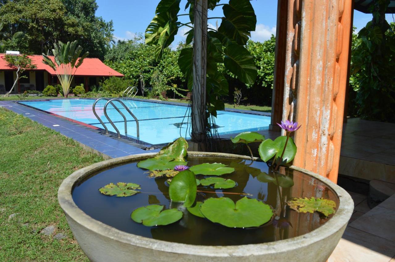 Bed and Breakfast Zum Deutschen Bentota Zewnętrze zdjęcie
